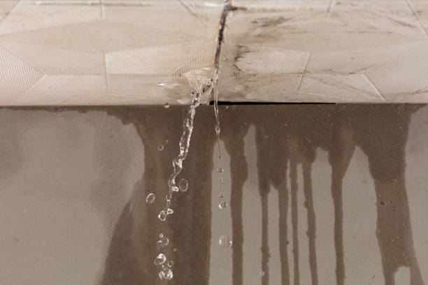 Professional Flood Damage Cleanup technician working in Clifford, MI